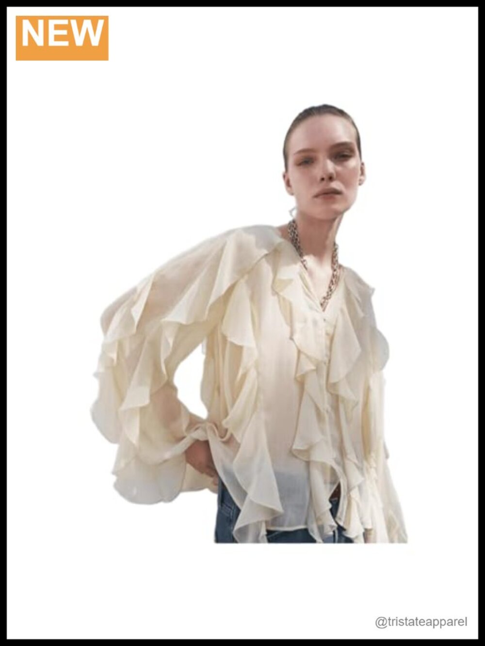 Women's V-Neck Pleated Front Long Sleeve Shirt with Ruffle Collar Chiffon Blouse